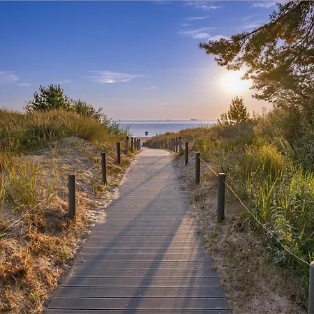 Seemoewe * Heringsdorf (Usedom)